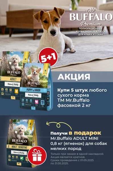 Акция