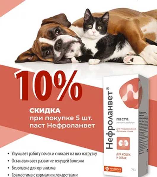 Акция