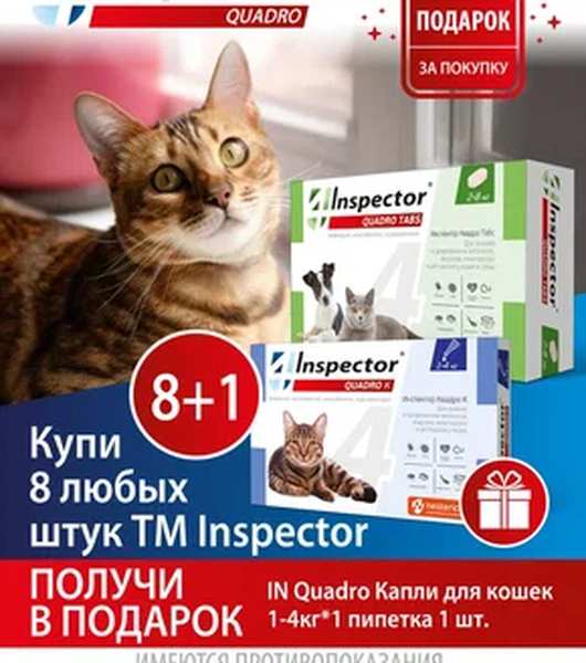 Акция