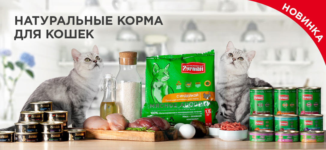 Поставщики корма для животных оптом.